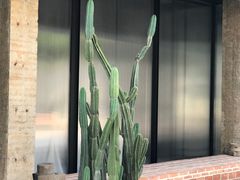 -广州市紫泥堂文化创意园景区