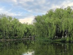 -满都海公园