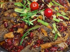 -老板恋上鱼(恒隆广场店)