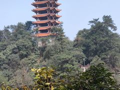 -缙云山景区
