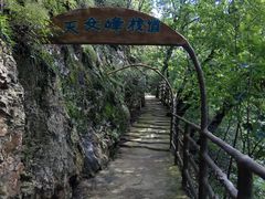 -天女山森林公园