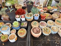 -相门城墙文化休闲景区