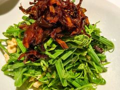 油鸡纵丝瓜尖-湖鱼湖·蓉亭食贝(亚运村店)