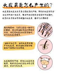 -Bollins波林丝•专研护发中心