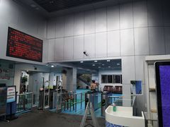 -温州体育中心游泳馆