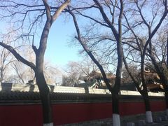 -北京国子监胡同
