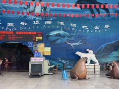 -蓬莱欧乐堡海洋极地世界