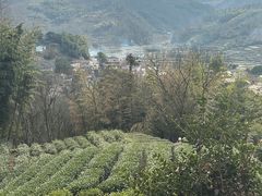 -十九峰景区-倒脱靴