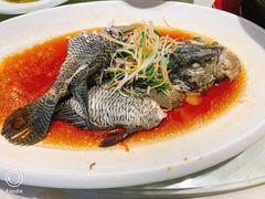 油浸海斑鱼-宋园·金宴浙鲜馆(静安店)