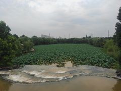 -敬亭山风景名胜区