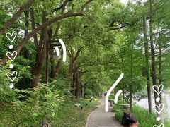 -南通濠河风景名胜区