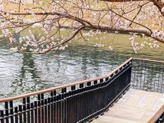 -安定门(地铁站)