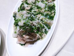 笋壳鱼-蝶园·装修中(BFC外滩金融中心店)