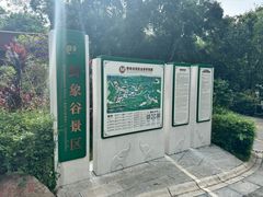 -野象谷景区