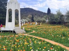 -名花谷生态庄园