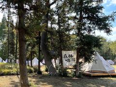 -宜兴龙背山森林公园