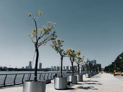 -栖露营camping·天幕烧烤·团建拓展·采摘营地