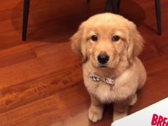 -大炮盐酥鸡(新街口店)