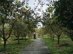 景观位采摘-武汉世外桃源农庄