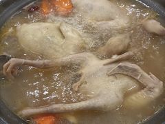 乳鸽煲-时利和美食(东方广场店)