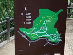 -上海佘山国家森林公园天马山园