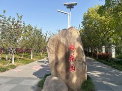 -高东镇樱花园