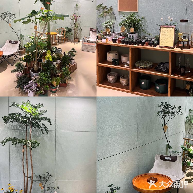 在肇庆！喝到人生手冲🥹环境敲sofu