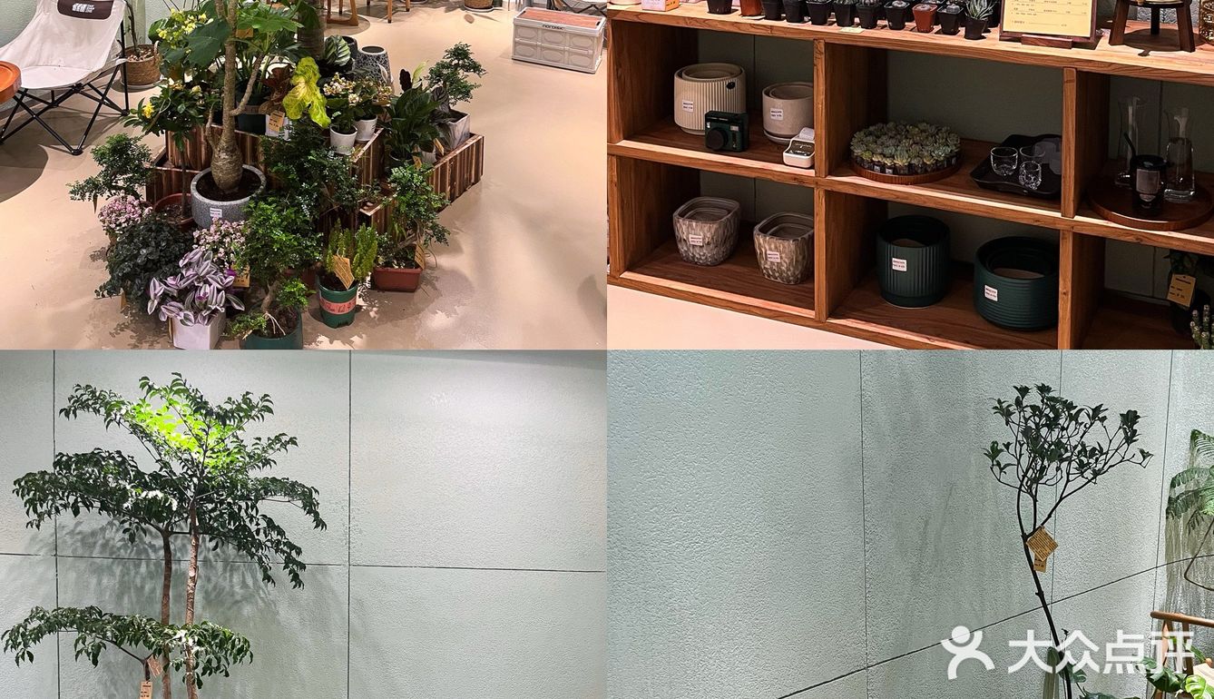 在肇庆！喝到人生手冲🥹环境敲sofu