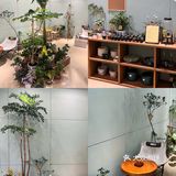 在肇庆！喝到人生手冲🥹环境敲sofu