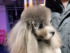 -FAELING PETS美天灵宠物(富力广场店)