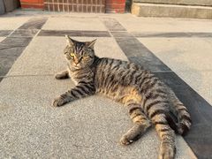 -石家庄市植物园