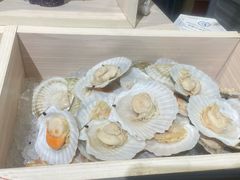 -大中华希尔顿酒店-念自助餐·海南美食·三文鱼