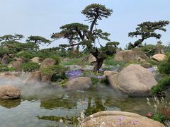 -罗红摄影艺术馆