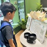 最近很流行马黛茶吗？