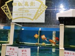 水产区-天津乾毓德饭庄·清真传统炒菜·海鲜烧烤(咸阳路店)