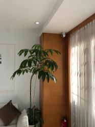 -HEYAN荷妍专业脱毛连锁机构