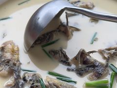 -耕渔小院·湖南鱼鲜(望城店)