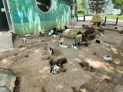 -鄂尔多斯野生动物园