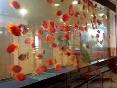 -玲珑汤泉生活会馆(花桥店)