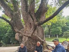 -清漾毛氏文化村