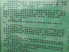 -大湾区中央湿地公园