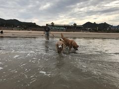 -嵊泗基湖沙滩