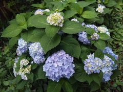 -华南国家植物园-售票处