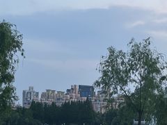 -黄兴公园