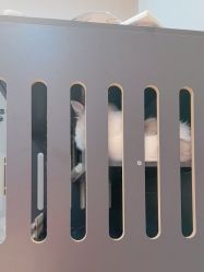 -花系美·美甲美睫精品店