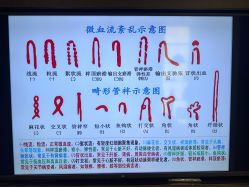 点击看大图 -欧兔博士·O2BOX微高压氧舱