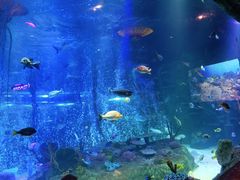 -沈阳海洋探索中心