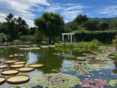 -国家植物园南园