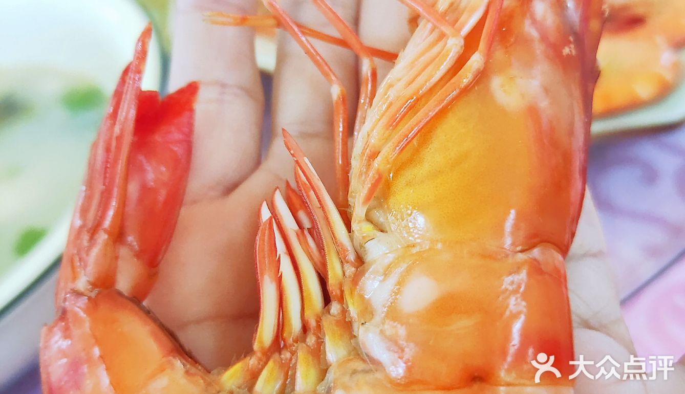 【广海🦐海鲜】