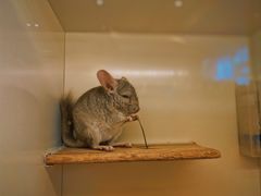 -龙猫仔乐园(惠福东路店)